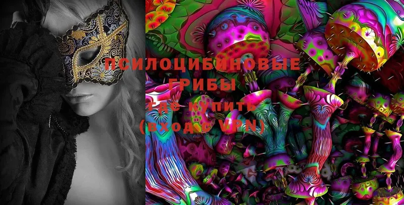 Галлюциногенные грибы MAGIC MUSHROOMS  Весьегонск 